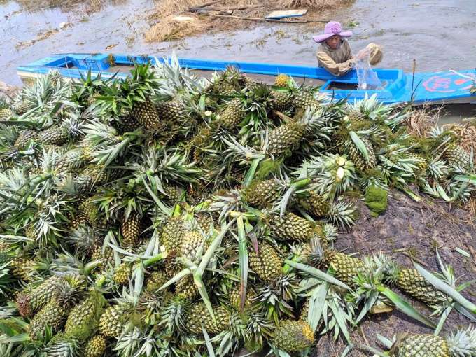 Người gieo 'đầu rồng, đuôi phụng, cánh tiên' trên đất phèn - Ảnh 2.