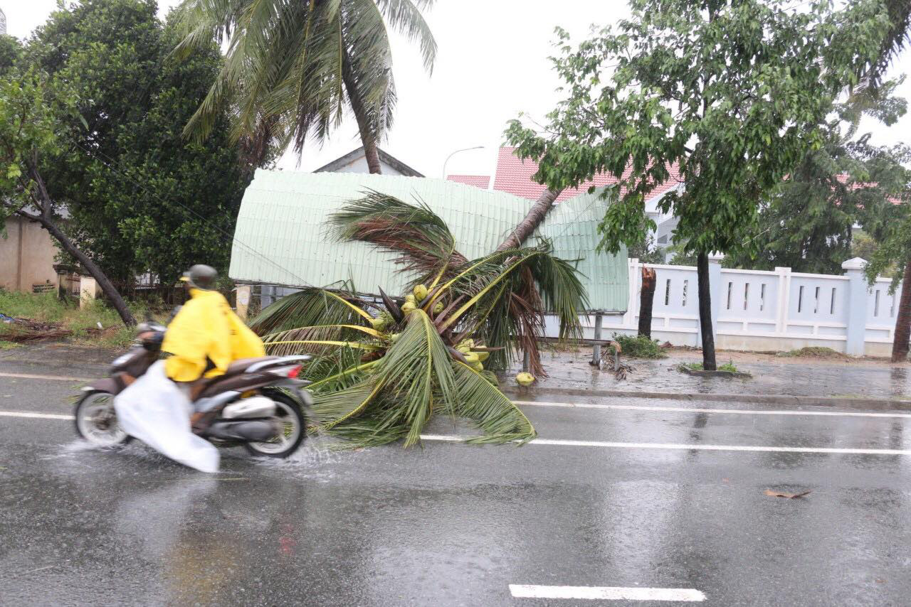 Cơn bão số 12: Mưa lớn gây ngập lụt, cây ngã đổ, hàng loạt địa phương mất điện - Ảnh 2.