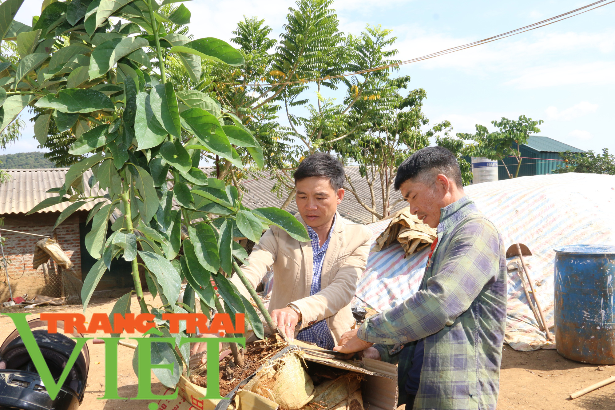 “Phao cứu sinh” giúp người Thái vùng cao thoát nghèo - Ảnh 3. “Phao cứu sinh” giúp người Thái vùng cao thoát nghèo - Ảnh 3.