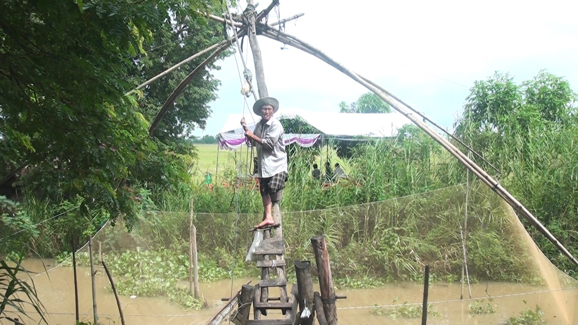 An Giang: Nước tràn đồng, nông dân đi cất vó bắt được toàn cá đặc sản, nhìn là biết ngon rồi - Ảnh 1.