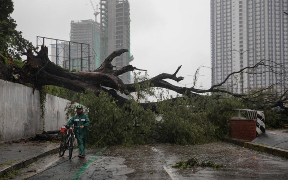 Bão Vamco khiến 4 người chết và mất tích tại Philippines, hiện hướng vào biển Đông - Ảnh 1.