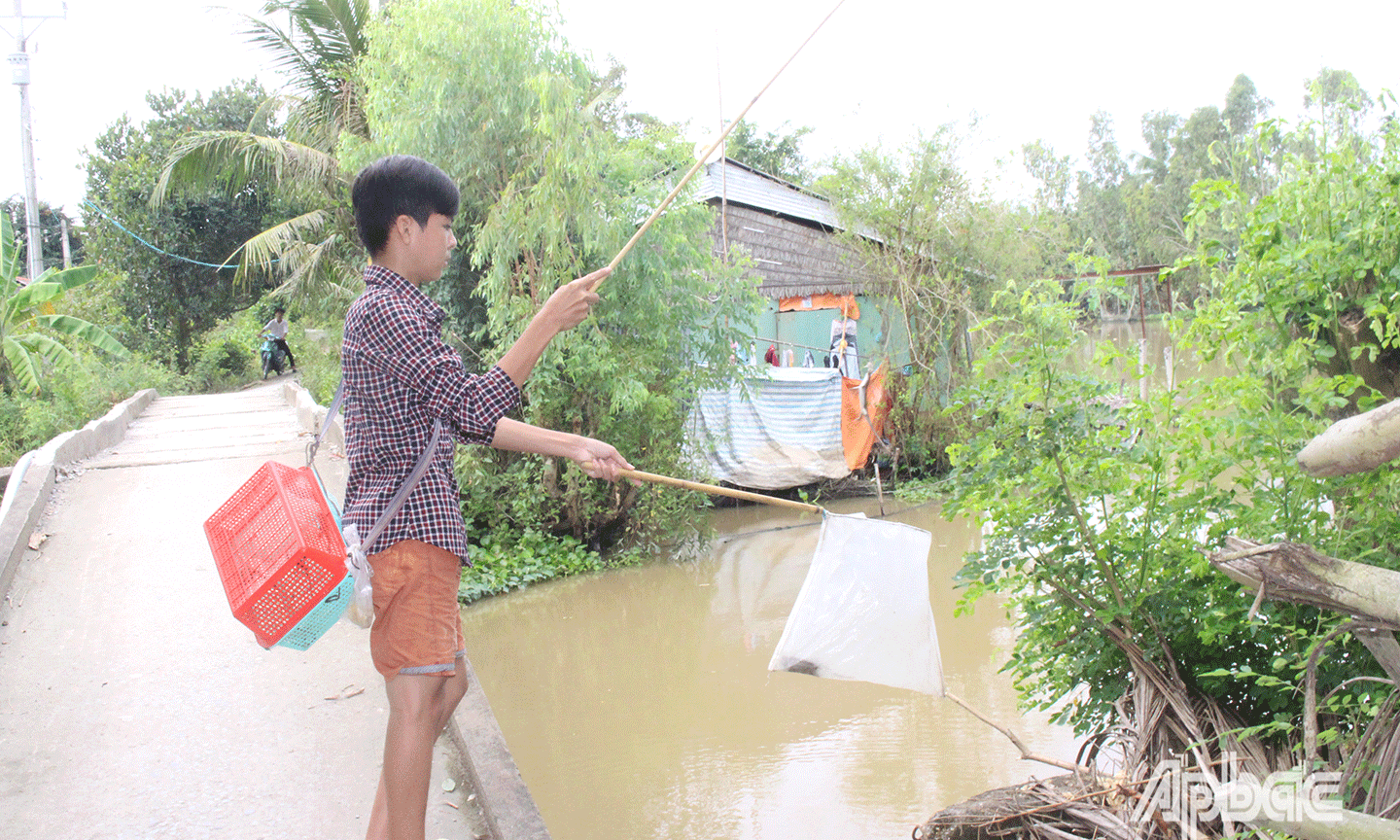 Nghề lạ ở Tiền Giang: Tranh thủ đi câu rắn mối, các bé này kiếm cũng ối tiền - Ảnh 2.