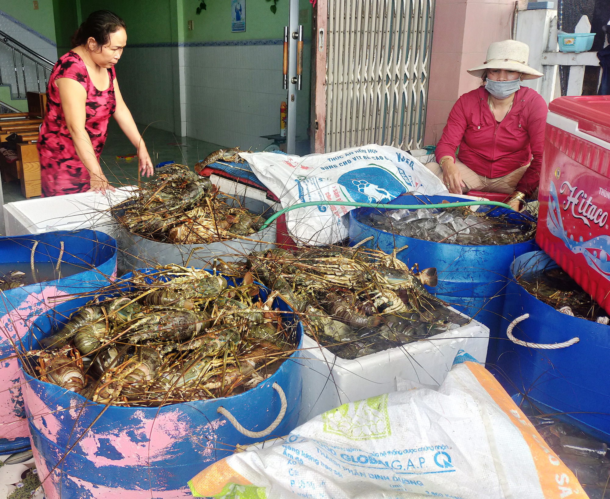Bão lũ dồn dập, gây thiệt hại nặng nề… ở Bình Định, Phú Yên - Ảnh 5.