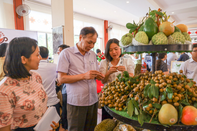 Bộ NNPTNT tổ chức Hội nghị triển khai Chỉ thị về an toàn thực phẩm: Tăng cường quản lý Nhà nước về ATTP - Ảnh 1.