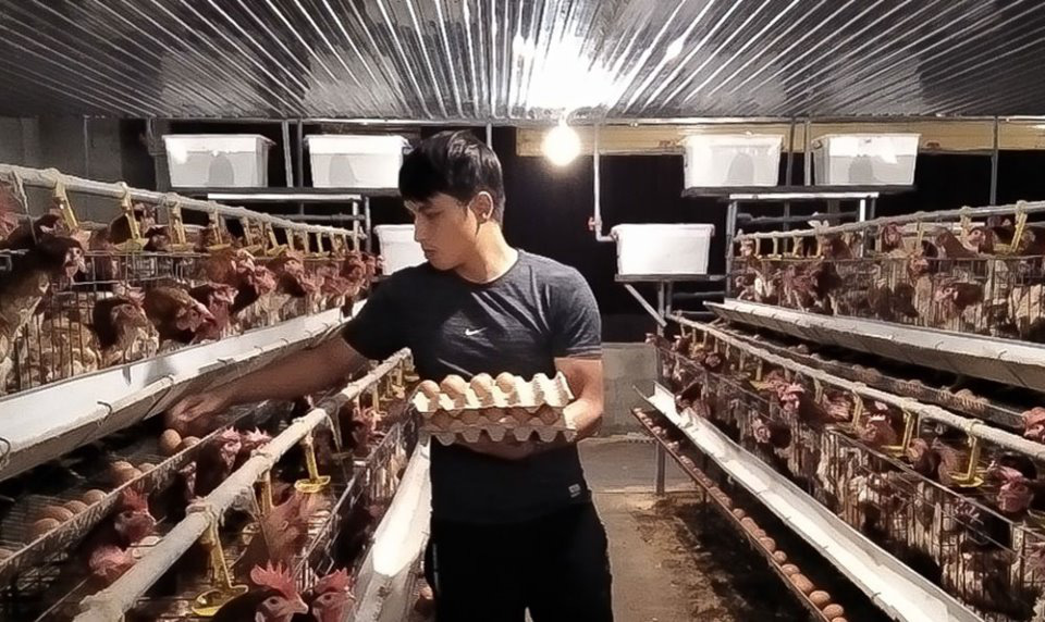 Đắk Nông: Hotboy nông dân nuôi gà gì mà mỗi tháng thu nhập 50 triệu đồng? - Ảnh 1.