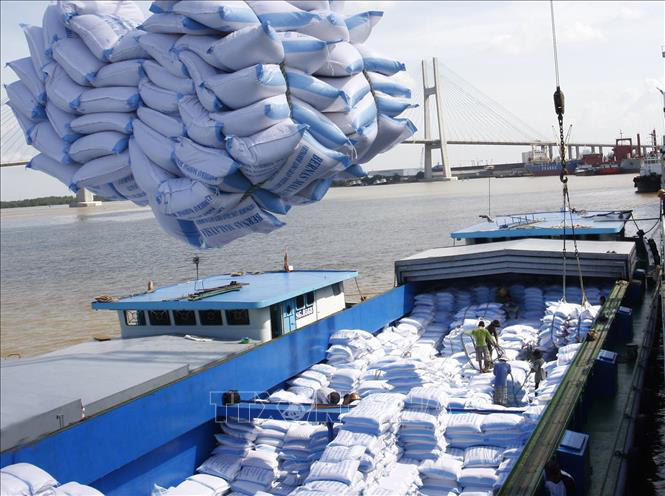 Triển khai nhiều giải pháp hỗ trợ doanh nghiệp xuất khẩu gạo sang EU - Ảnh 1.