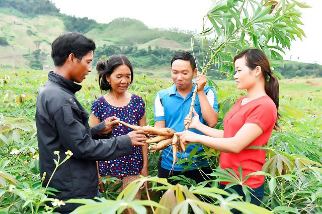 Triển khai chương trình giảm nghèo: Hộ nghèo và cận nghèo phải &quot;dắt tay nhau&quot; cùng làm ăn - Ảnh 1.