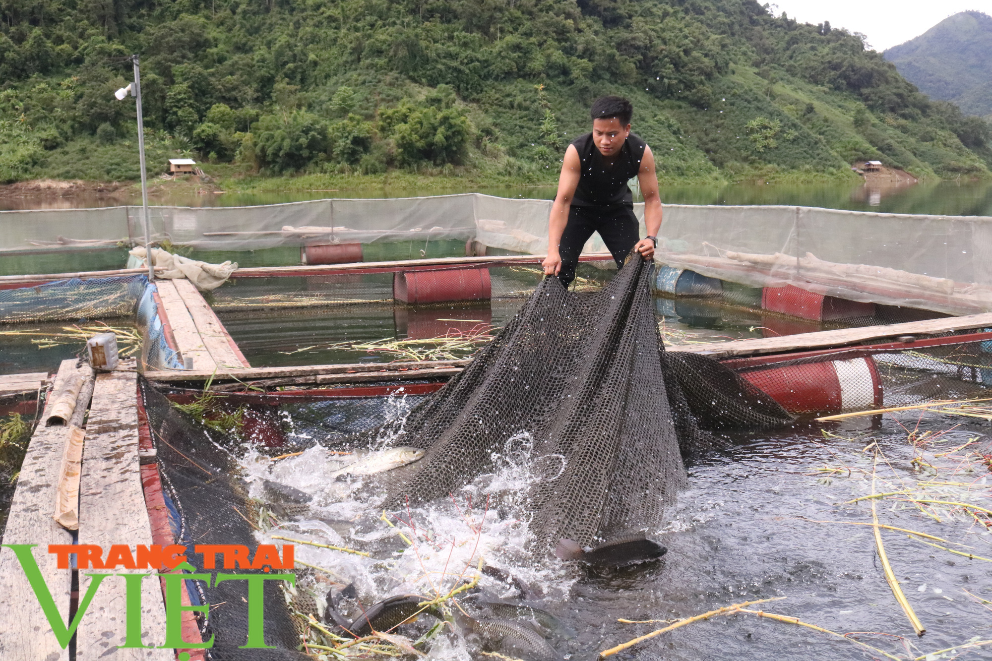 Tham gia HTX nuôi cá lồng, người dân Nậm Giôn sống khoẻ - Ảnh 2.