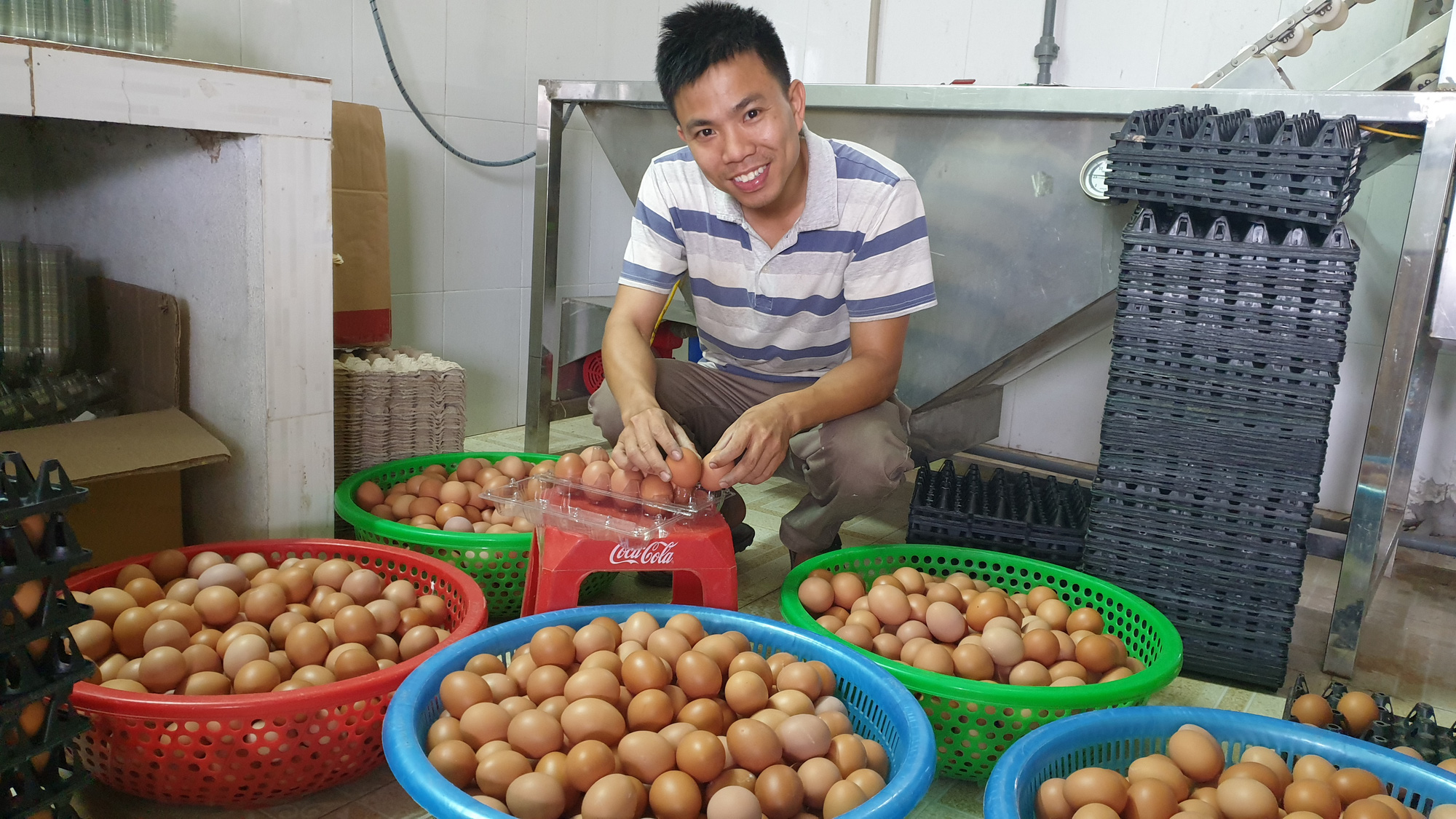Nam Định: Bỏ việc văn phòng về quê nuôi gà đẻ, trứng bán cho siêu thị, 8x thu tiền tỷ/năm. - Ảnh 4.