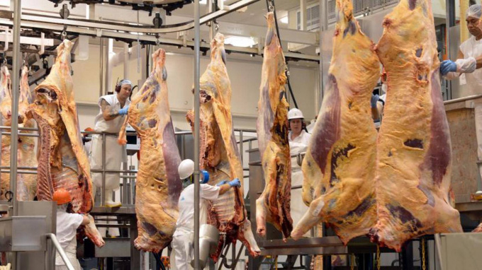 Thịt bò New Zealand bị mắc oan nhiễm coronavirus - Ảnh 1.