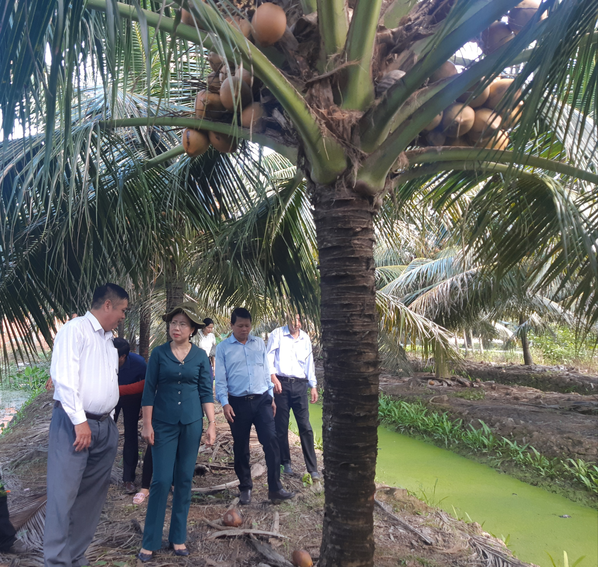 Phó Chủ tịch TƯ Hội NDVN Bùi Thị Thơm kiểm tra công tác Hội và phong trào nông dân tại Bến Tre - Ảnh 4.