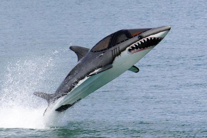 <b>Tàu lặn Seabreacher</b><br><br><i>Giá: 500.000 USD</i><br><br>Đây là loại đồ chơi dưới nước “có một không hai” dành cho giới siêu giàu. Chiếc tàu lặn Seabreacher có thể đạt vận tốc 60 dặm/giờ, nhảy cao khỏi mặt nước và xoay tròn 360 độ. Cn tàu có thể được thiết kế theo hình dáng của cá heo, cá voi hoặc cá mập.
