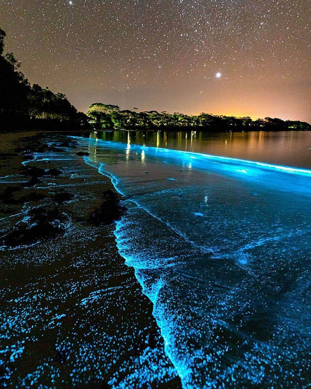 Ảnh: Tảo phát quang khiến bãi biển rực sáng vào ban đêm