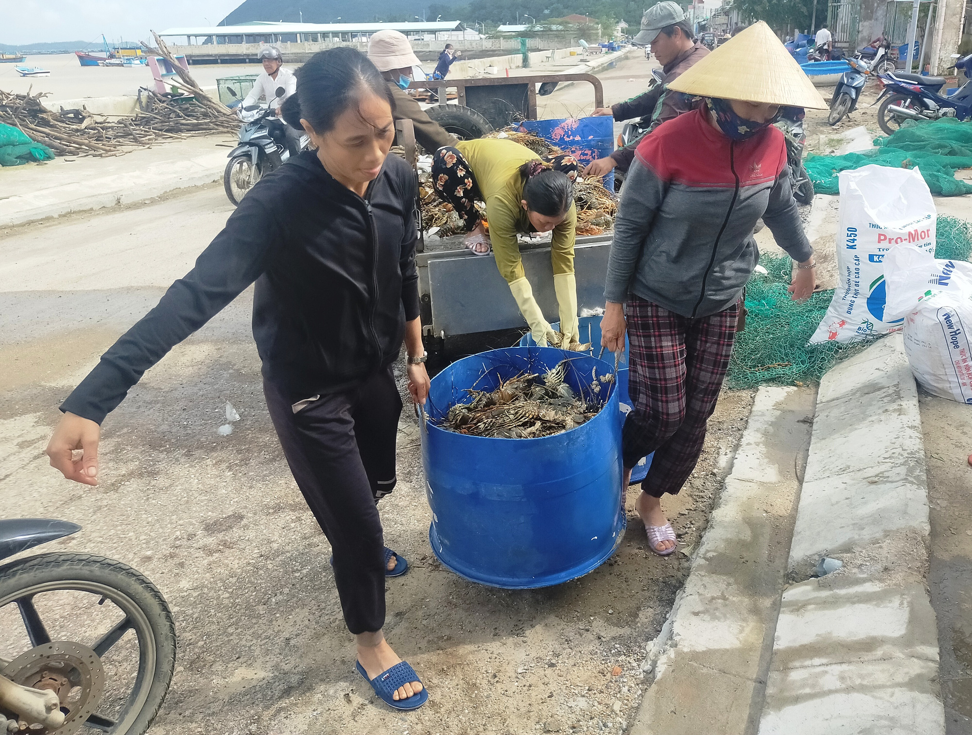 Bảo hiểm rủi ro nông nghiệp, tại sao khó phát triển ở Việt Nam? - Ảnh 2.