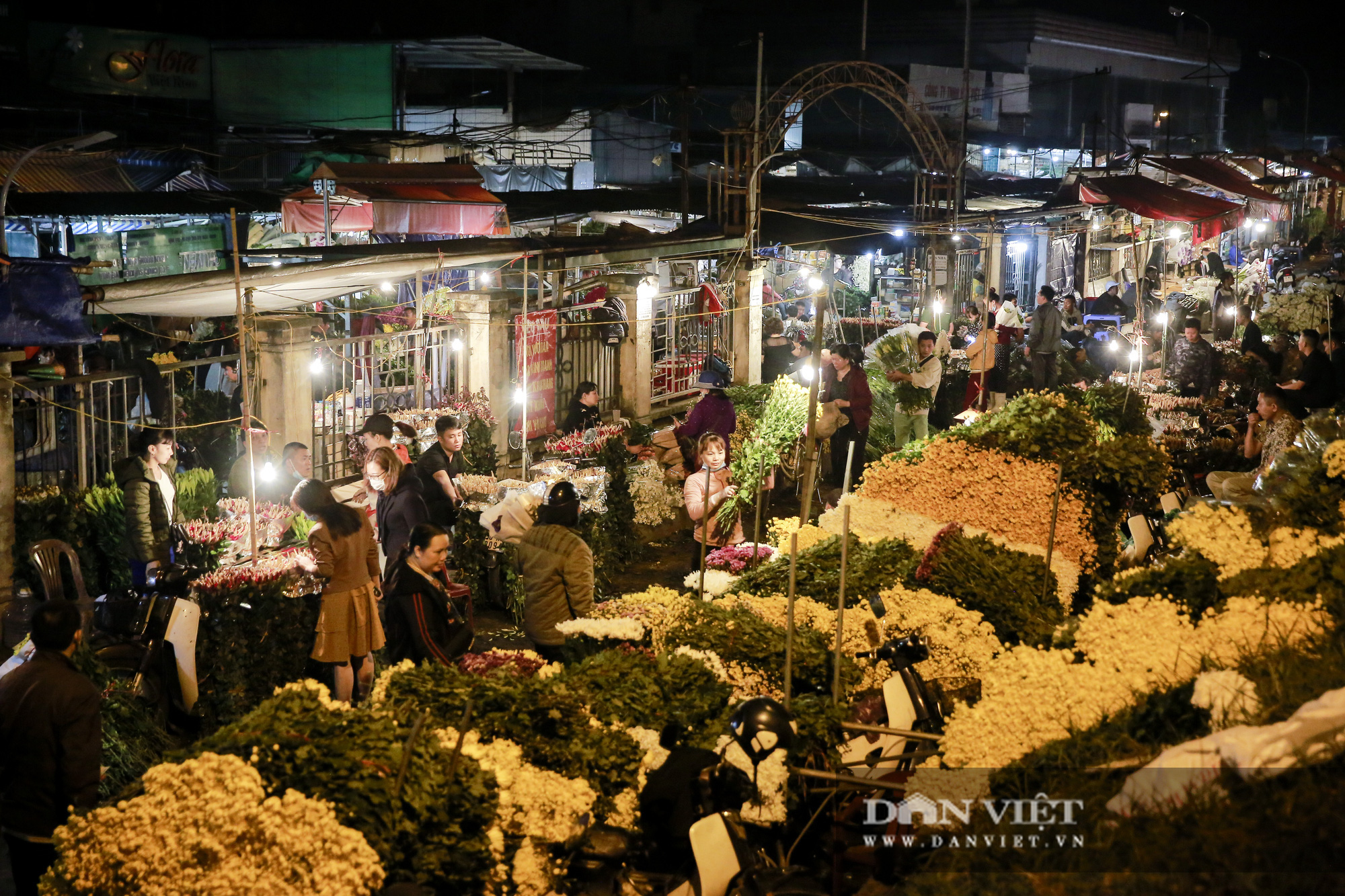 Chợ hoa Quảng An nhộn nhịp trước ngày 20/11 - Ảnh 2.