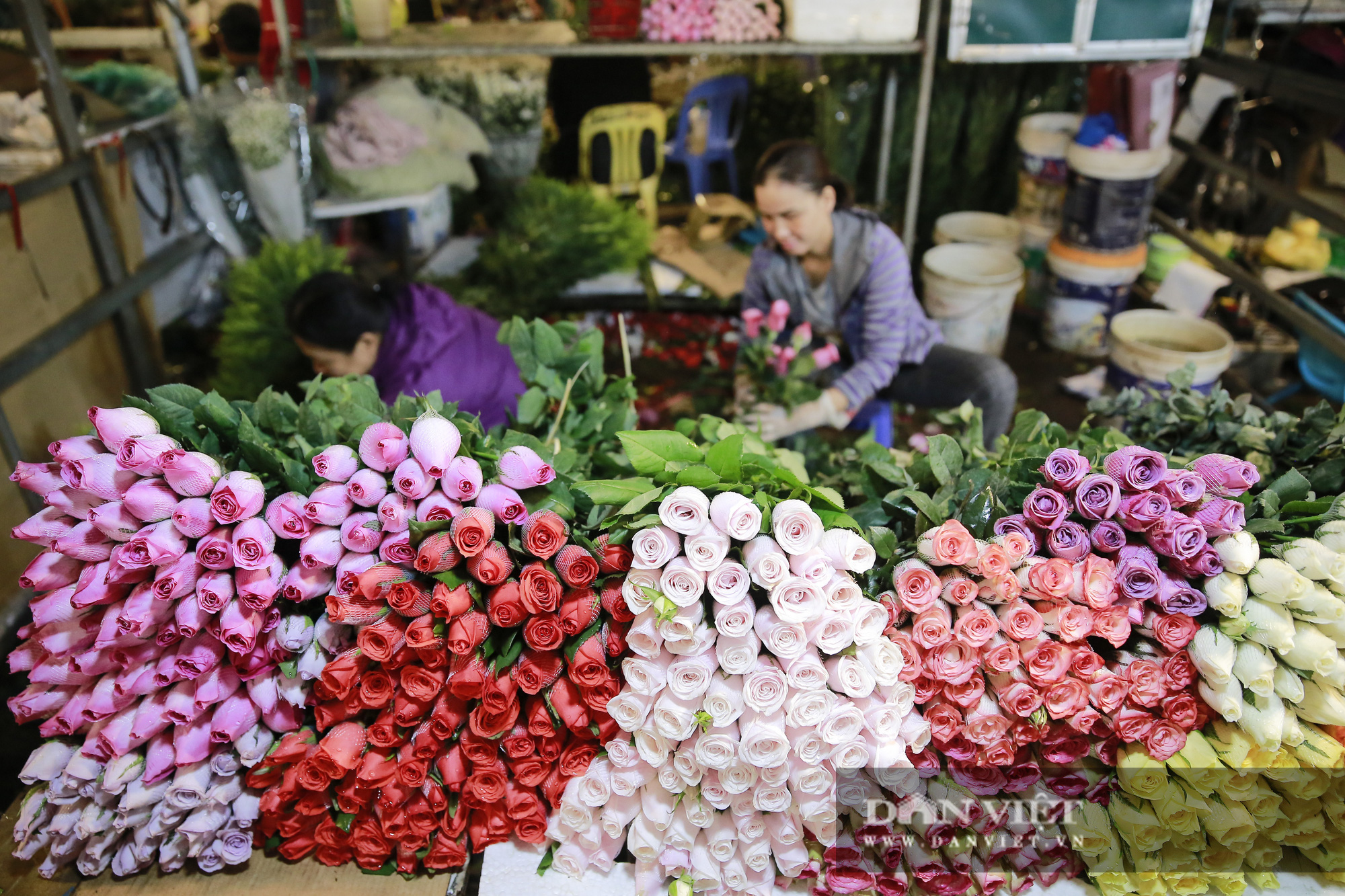 Chợ hoa Quảng An nhộn nhịp trước ngày 20/11 - Ảnh 7.