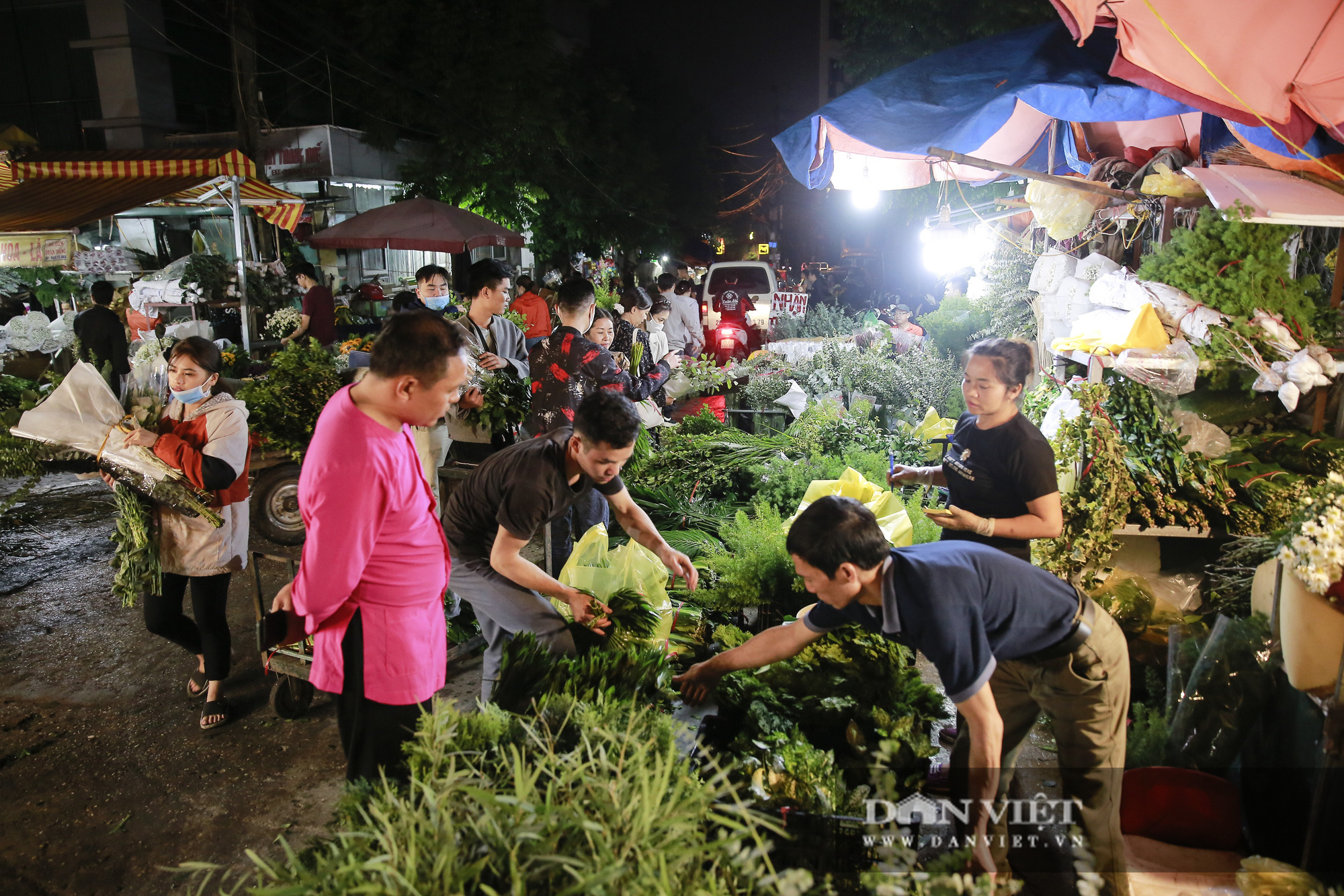 Chợ hoa Quảng An nhộn nhịp trước ngày 20/11 - Ảnh 10.