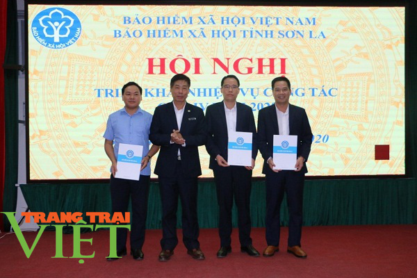 BHXH tỉnh Sơn La với phong trào thi đua nước rút: Bài 2- Những con số biết nói  - Ảnh 8.