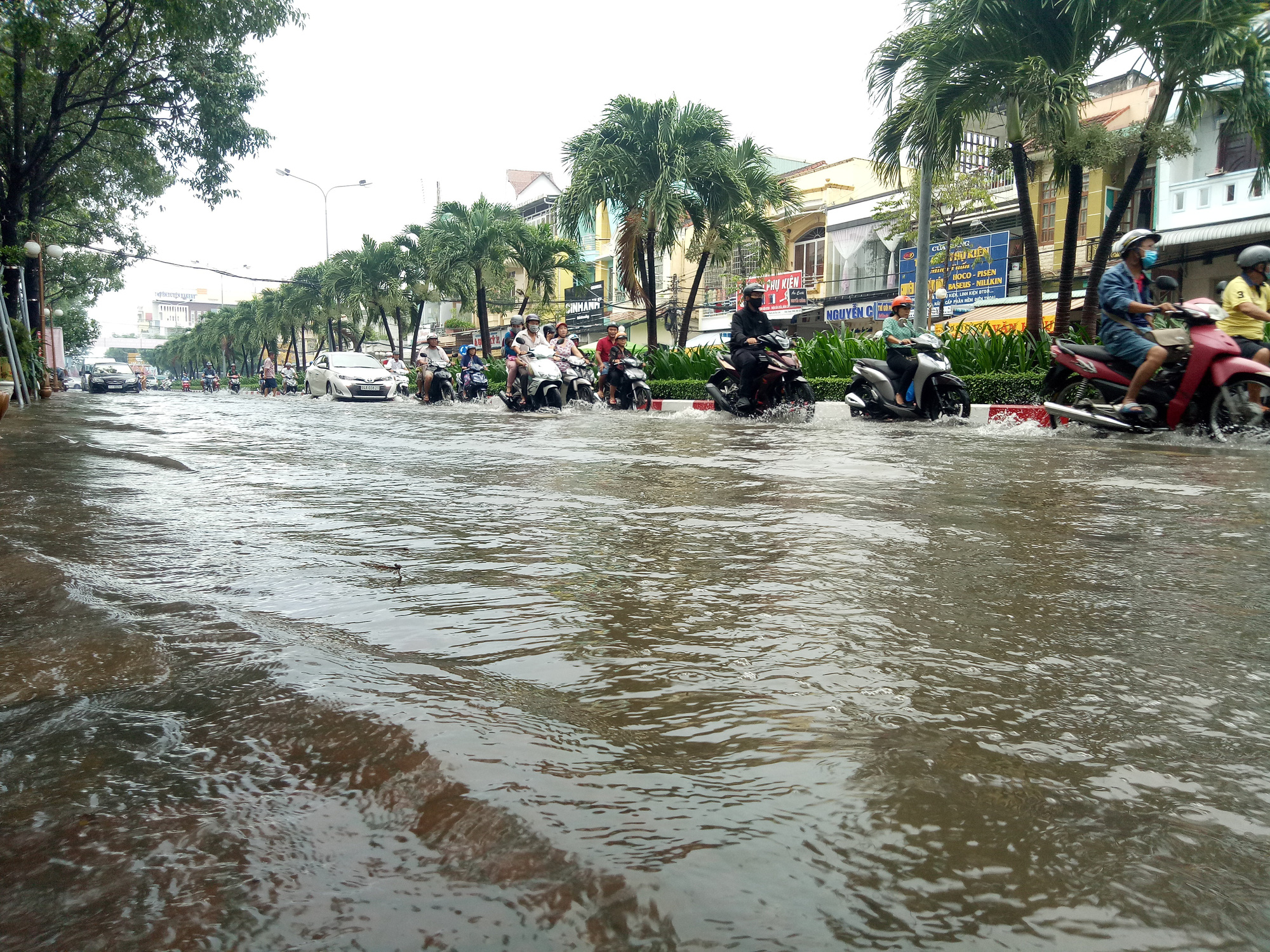 Đường phố Bạc Liêu thành sông sau trận mưa 2 tiếng - Ảnh 1.