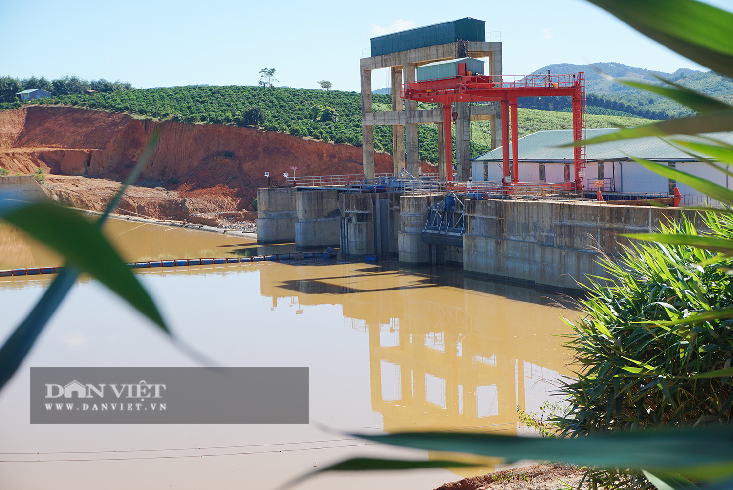Thủy điện tích nước vô lối ở tỉnh Kon Tum: Nông dân chảy nước mắt nhìn nông sản hư thối - Ảnh 1.