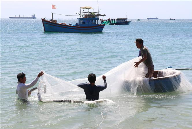 Ngư dân Ninh Thuận được mùa ruốc biển, thu nhập cả chục triệu đồng mỗi ngày - Ảnh 2.