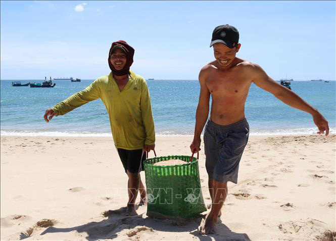Ngư dân Ninh Thuận được mùa ruốc biển, thu nhập cả chục triệu đồng mỗi ngày - Ảnh 3.