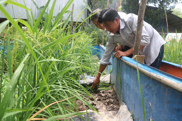 Đồng Tháp: Nuôi lươn đồng ở vùng thượng nguồn sông Tiền, nông dân Hồng Ngự trúng lớn - Ảnh 1.