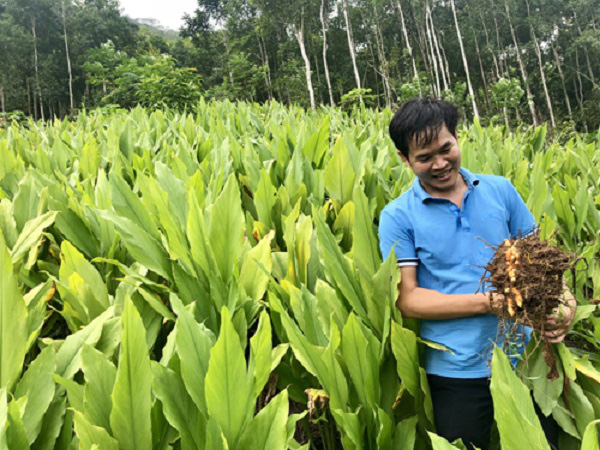 Tinh bột nghệ của Công ty Cổ phần Nông sản Bắc Kạn đã được quản lý chất lượng như thế nào? - Ảnh 1.