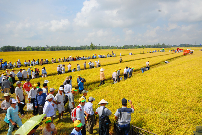 Khơi thông vốn cho nông nghiệp - Ảnh 1.