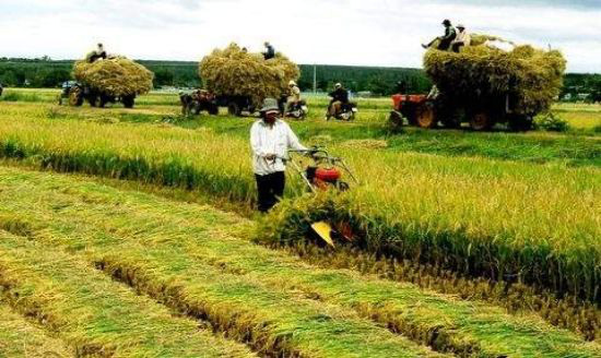 Bài 4: Công nghệ sẽ giải quyết bài toán khó về bảo hiểm nông nghiệp tại Việt Nam? - Ảnh 3.