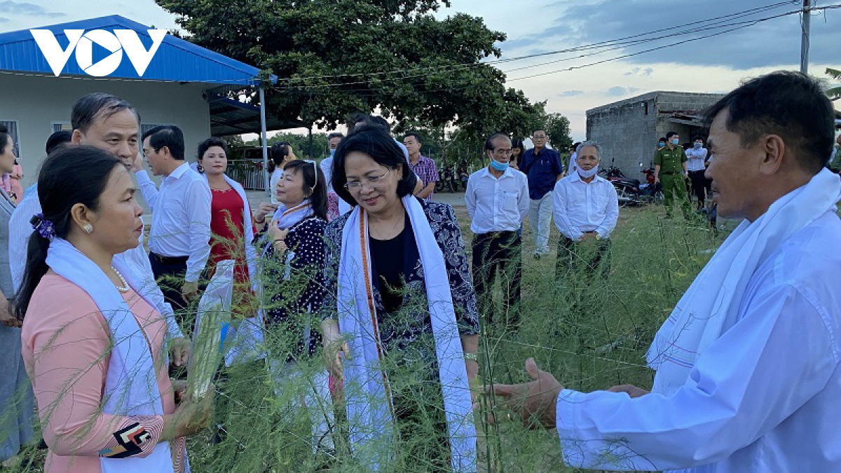 Phát triển nông nghiệp công nghệ cao ở Ninh Thuận còn khó khăn - Ảnh 2.