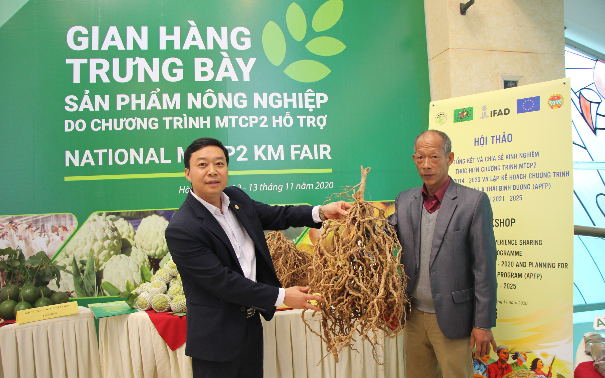 Bắc Giang: Nông dân thích thú trồng cây ba kích củ xoắn như chùm dây thừng có tác dụng bổ thận tráng dương