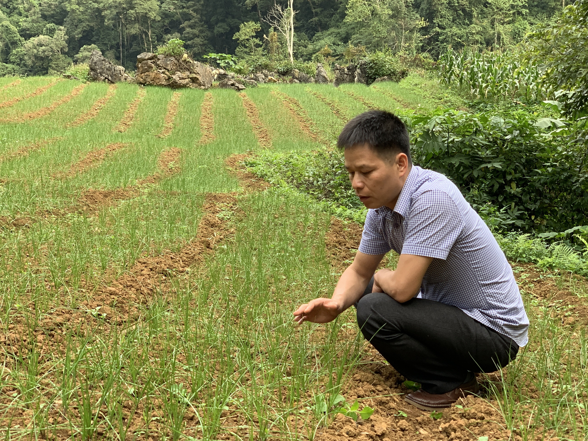 Bạch Thông lồng ghép các nguồn vốn, đưa dự án phát triển sản xuất về xã thúc đẩy xây dựng NTM - Ảnh 6.