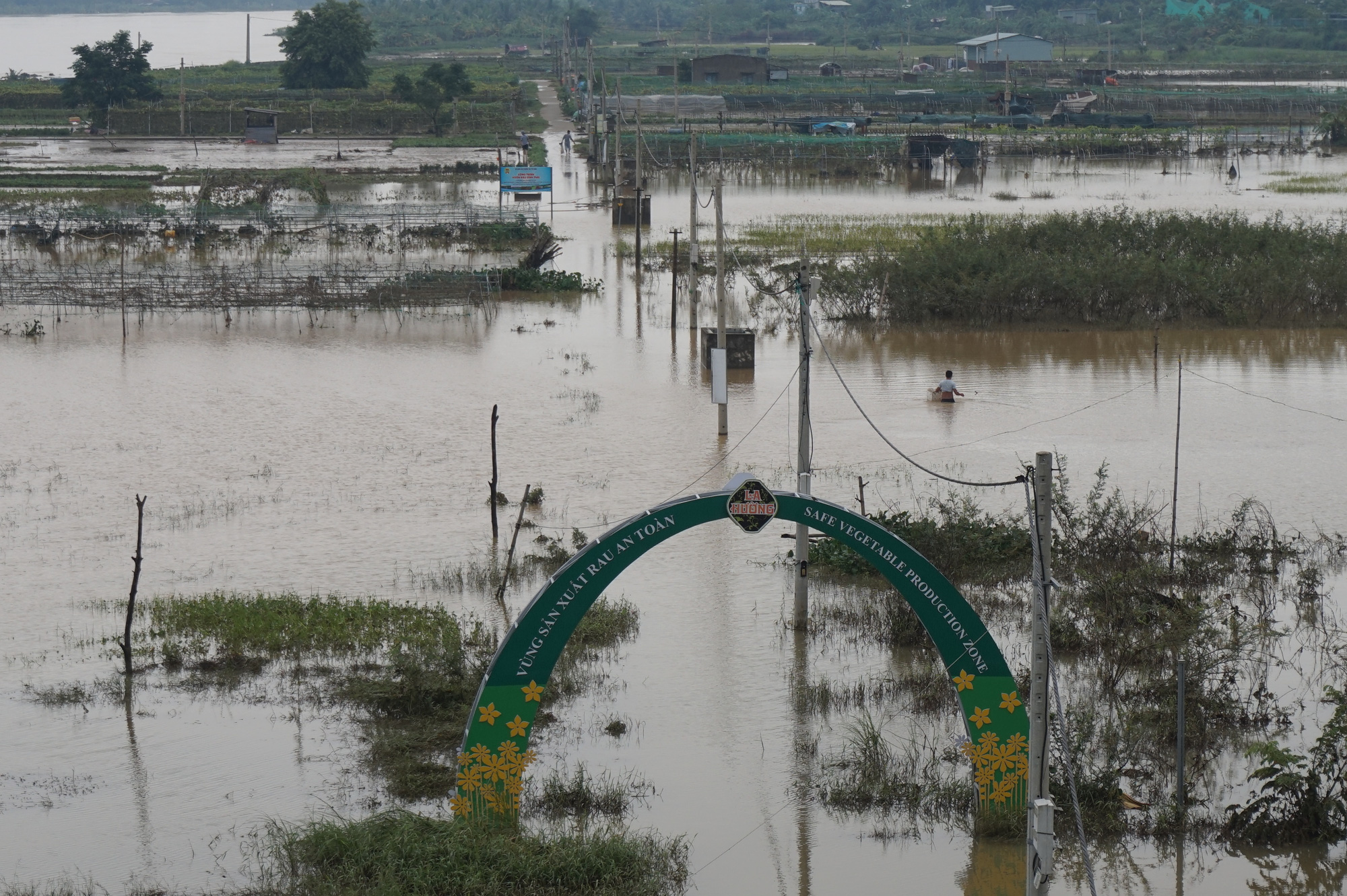 Đà Nẵng: Hội Nông dân tập trung hỗ trợ nông dân ổn định sản xuất sau mưa bão - Ảnh 4.