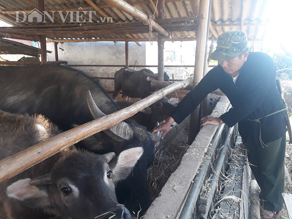 Mía đường Sơn La thời hội nhập: Bài 3: Gắn bó với cây mía đường, nông dân vùng cao “sống khỏe” - Ảnh 3.