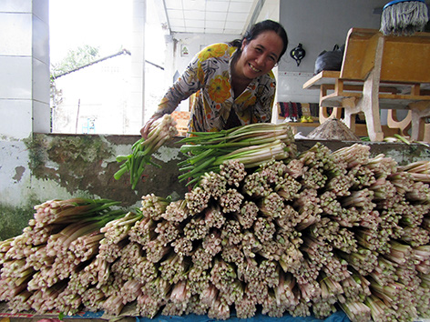 Hậu Giang: Thứ rau đồng mọc hoang trước vứt đi không xuể, nay nhặt về trồng dưới mương, hái được bó nào lái khuân sạch - Ảnh 1.