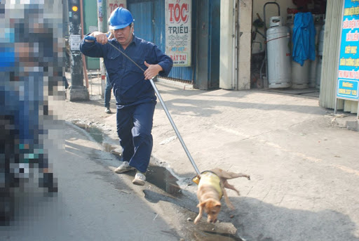 Đứng trước nguy cơ mất việc, 154 cán bộ thú y Hà Nội kêu cứu Bí thư Thành ủy Vương Đình Huệ - Ảnh 1.