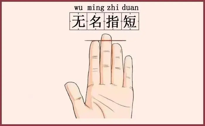 Ngón tay đeo nhẫn có đặc điểm này, tình duyên đỏ thắm, đôi lứa xứng đôi - Ảnh 3.