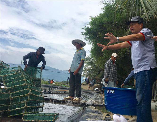 Làm giàu từ nuôi tôm trên bạt - Ảnh 5.