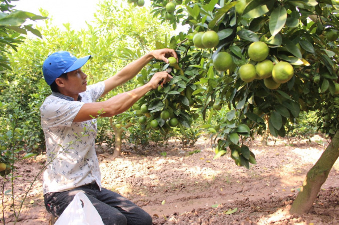 Làm gì để Nông nghiệp Việt Nam trong tốp 15 nước phát triển nhất thế giới? - Ảnh 2.