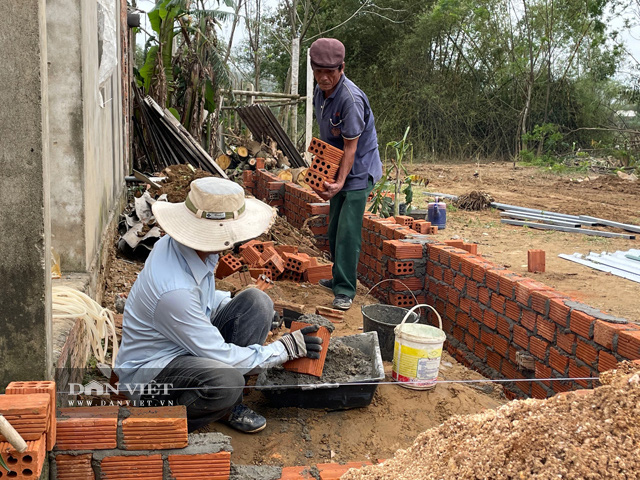 Sửa nhà, tạo vườn trồng cây cho gia đình bé trai bị bạo hành ở Bắc Ninh - Ảnh 2.