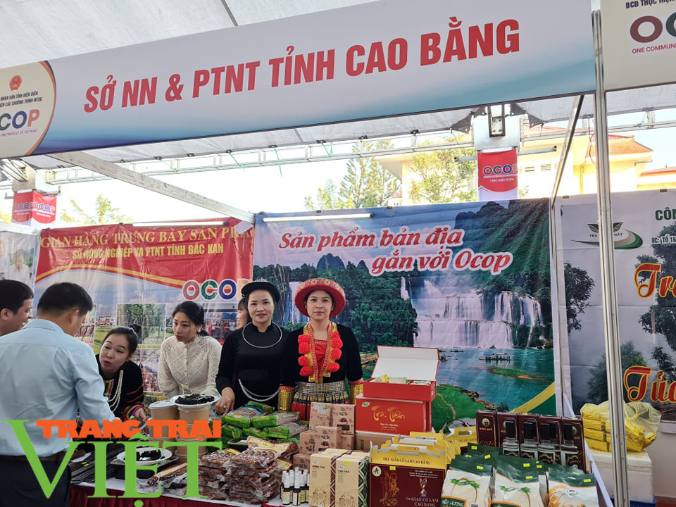  Hàng trăm sản phẩm OCOP  đặc trưng các tỉnh miền núi phía Bắc quy tụ tại Điện Biên - Ảnh 6.