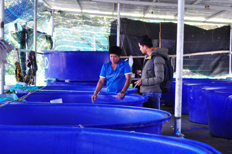 Lâm Đồng: Làm bể trên cạn nuôi cá tầm thoạt nhìn như tàu ngầm mi ni, nông dân này là tỷ phú - Ảnh 2.