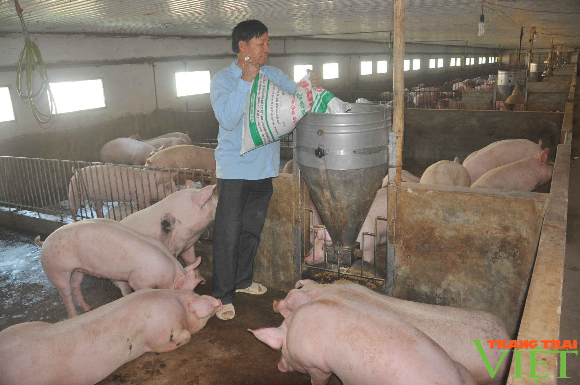 Doanh nghiệp liên tiếp tăng giá thức ăn chăn nuôi, người nuôi lợn, gia cầm &quot;kêu trời&quot; - Ảnh 1.