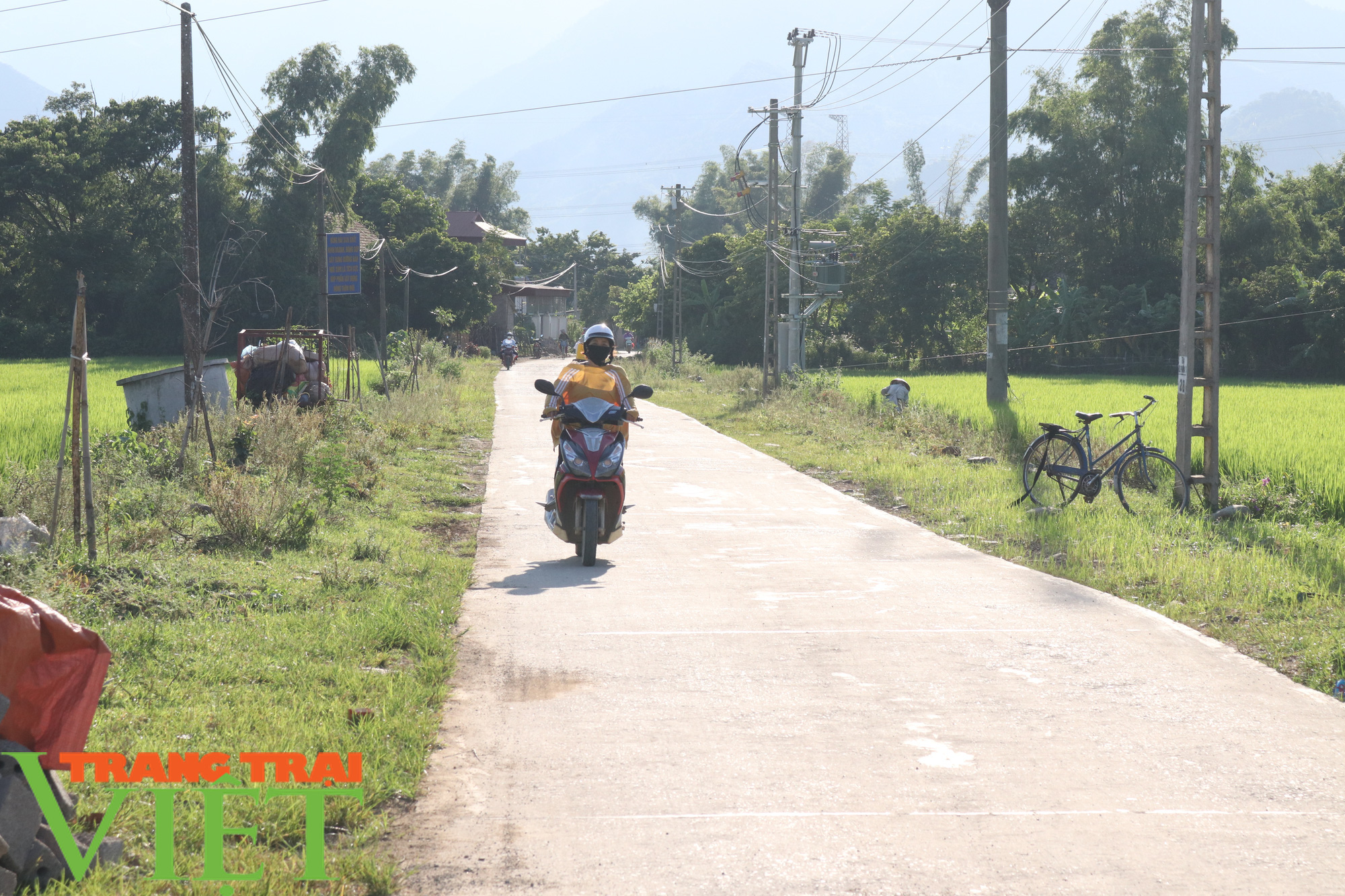 Phù Yên nỗ lực cứng hóa đường giao thông nông thôn - Ảnh 5.