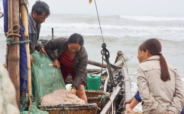 Thanh Hóa: Ngư dân bỏ túi tiền triệu mỗi ngày từ “săn” ruốc biển - Ảnh 2.