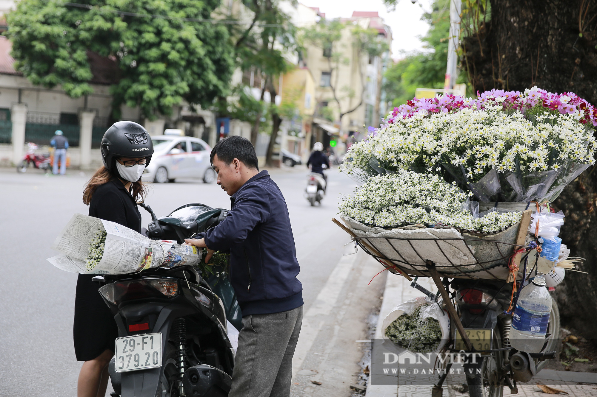 Cúc họa mi len lỏi xuống phố gọi gió Đông về - Ảnh 5.