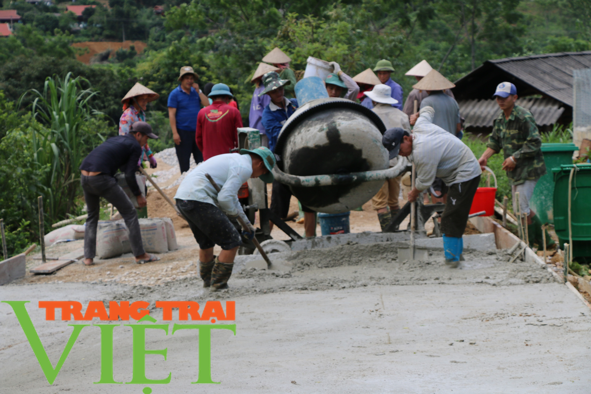 Hội Nông dân Mai Sơn: Huy động hội viên góp công, góp sức xây dựng nông thôn mới - Ảnh 4.