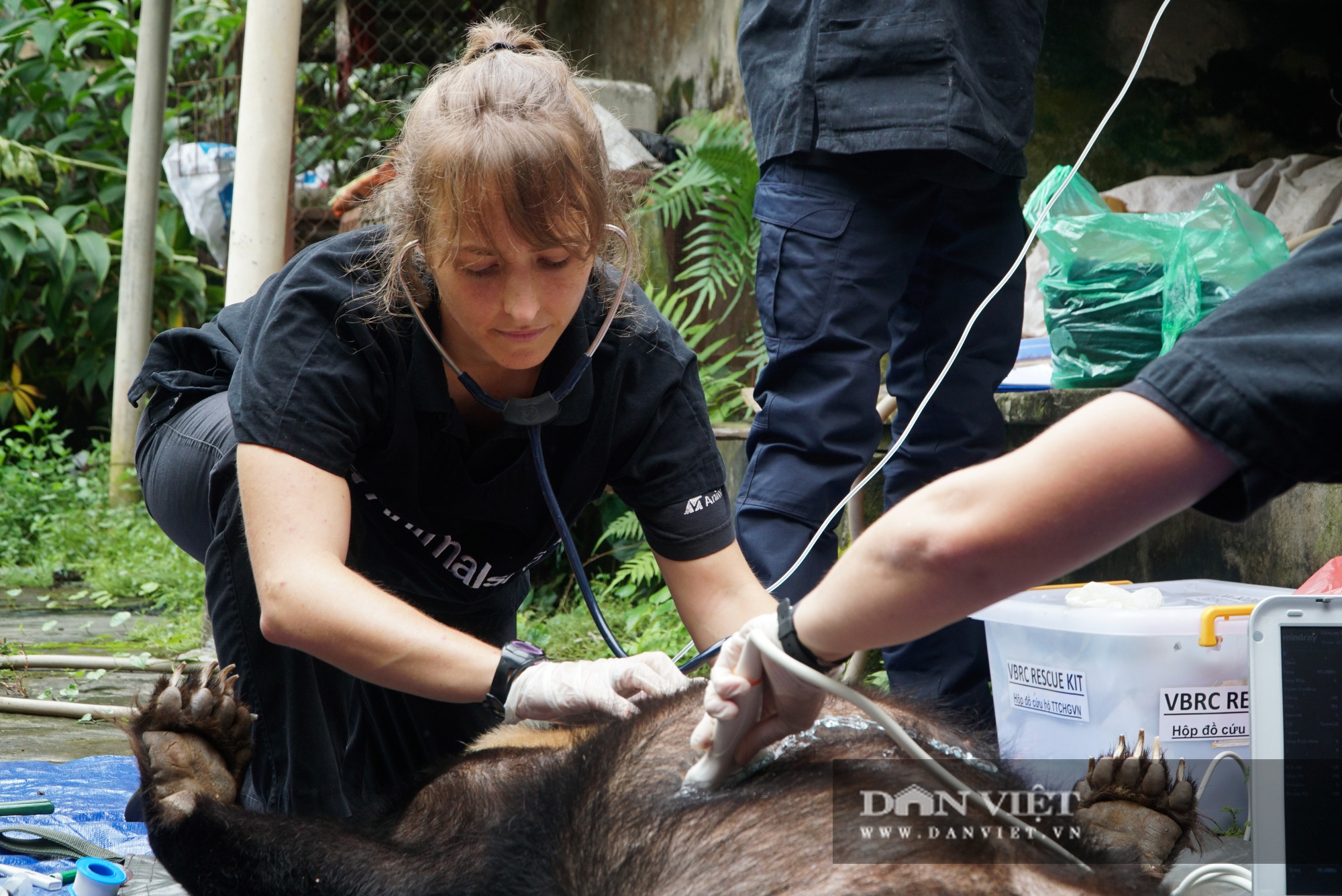 Quá trình giải cứu 2 mẹ con gấu ngựa bị nuôi nhốt 18 năm - Ảnh 9.