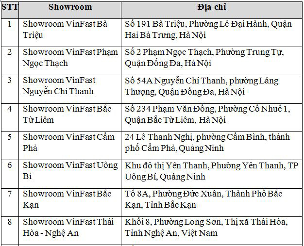 VinFast đồng loạt khai trương 21 showroom ô tô và xe máy điện - Ảnh 5.